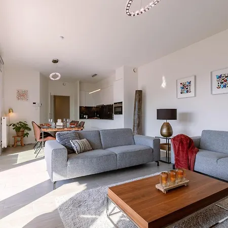 公寓 Modern Ground-floor With Large Sunny Terrace And Free Parking Place Nearby Duinenwater *